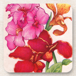 canna flowers coaster