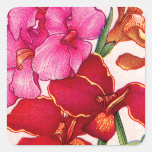 canna flowers square sticker