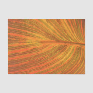 Canna Leaf Tissue Paper