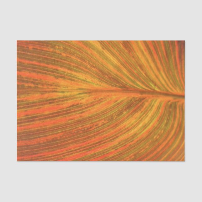 Canna Leaf Tissue Paper (Front)