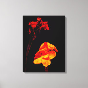 Canna Lilies on Black Canvas Print