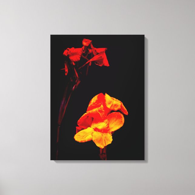 Canna Lilies on Black Canvas Print (Front)