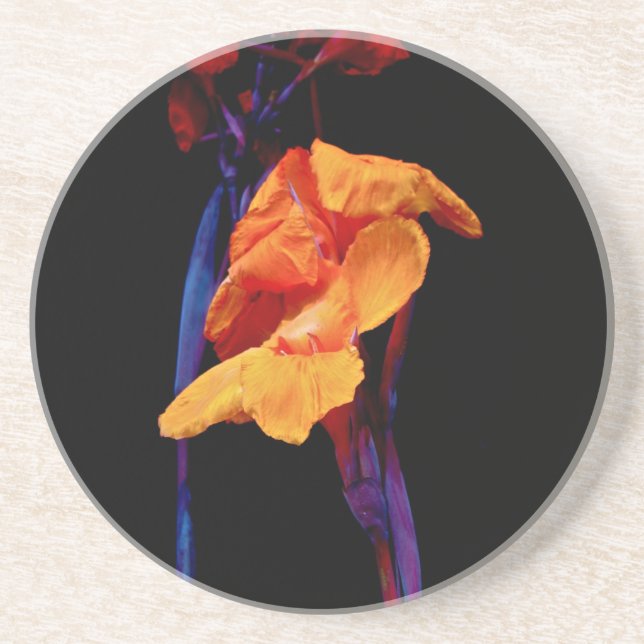 Canna Lilies on Black With Blue Coaster (Front)