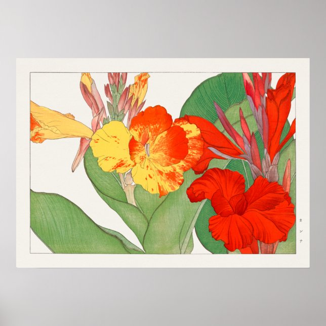 Canna Lily, Garden Flower, Konan, Vintage Nature Poster (Front)