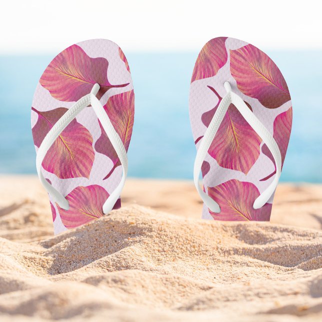 Canna Tropicanna Leaves in Pink Flip Flops (Creator Uploaded)
