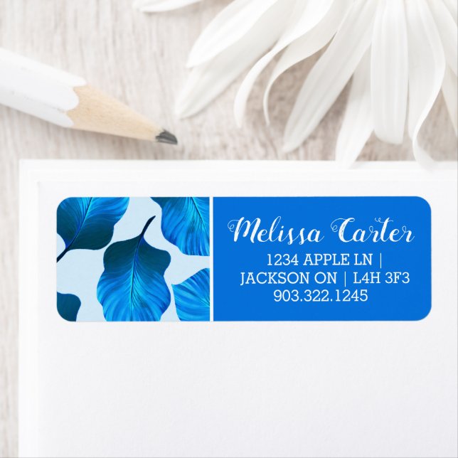 Canna Tropicanna Tropical Leaves in Blue (Insitu)