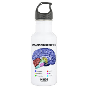 Cannabinoid Receptors Inside (Brain Anatomy) 532 Ml Water Bottle