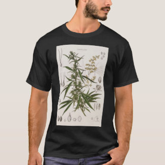 Cannabis Sativa - french botanical entry  Poster T-Shirt