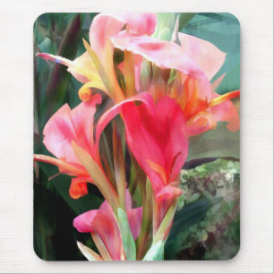 Cannas Pretty in Pink Mouse Mat