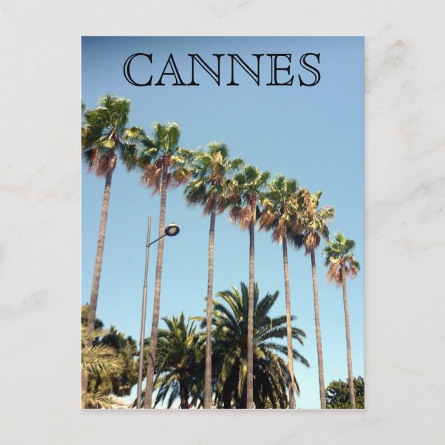 cannes palm trees postcard (Front)