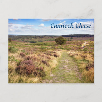 Cannock Chase in Staffordshire souvenir photo Postcard