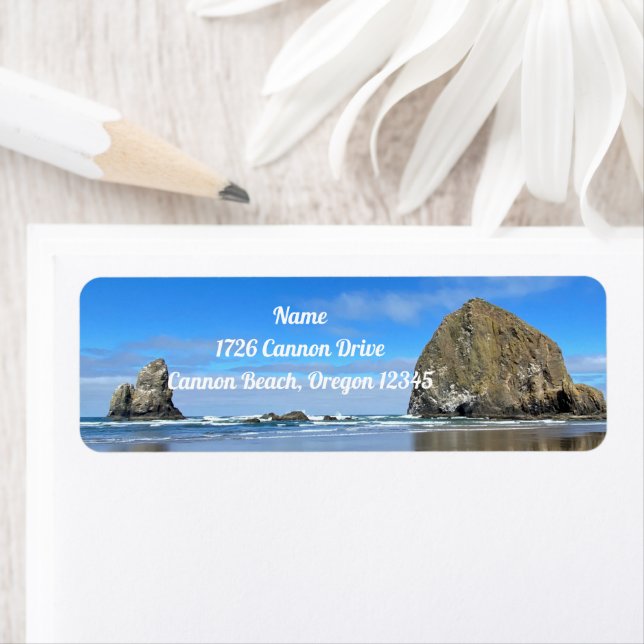 Cannon Beach Oregon Haystack Rock (Insitu)