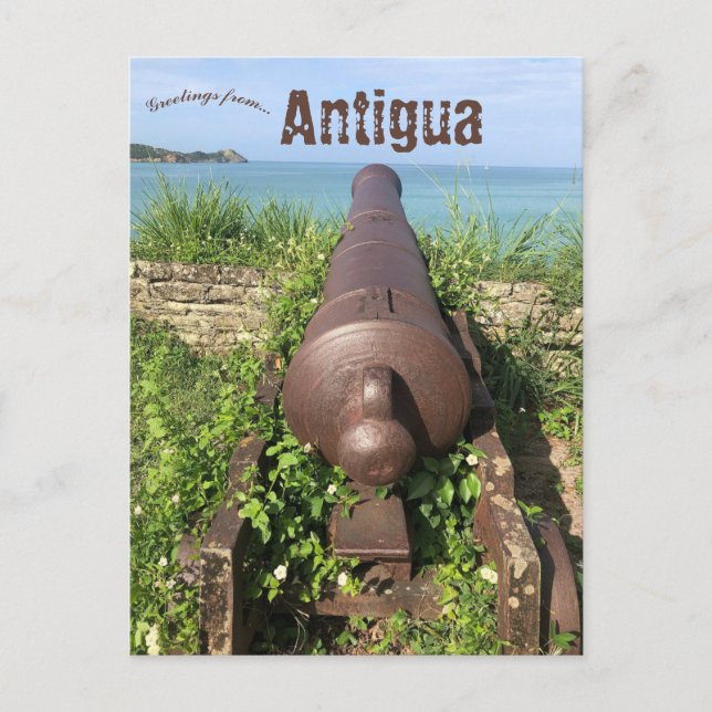 Cannon in Antigua Postcard (Front)