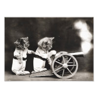 Cannon Kittens