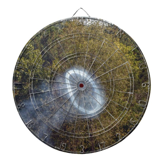 Cannon Smoke Ring Dartboard (Front)