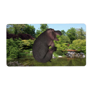 Cannonball Hippo