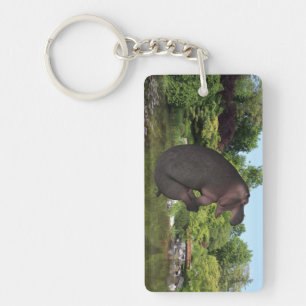 Cannonball Hippo Key Ring