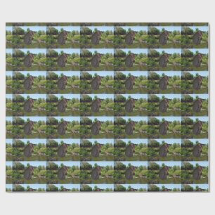 Cannonball Hippo Wrapping Paper