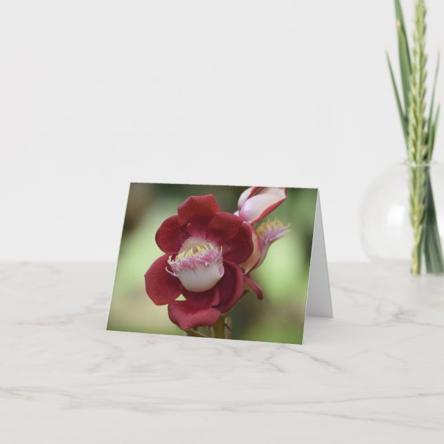 Cannonball tree flower. thank you card (Front)