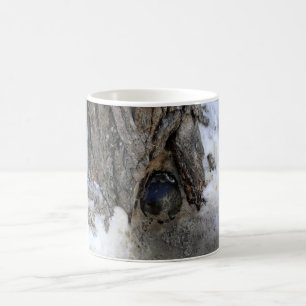 Cannonball Tree, Old Quebec City, Quebec, Canada Coffee Mug