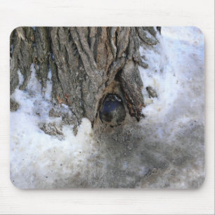 Cannonball Tree, Old Quebec City, Quebec, Canada Mouse Mat