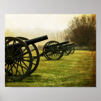 "Cannons in a Row" Fine Art Print