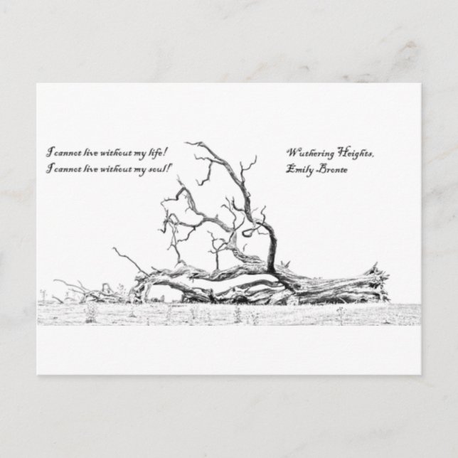 Cannot Live Without My Soul Wuthering Heights Postcard (Front)