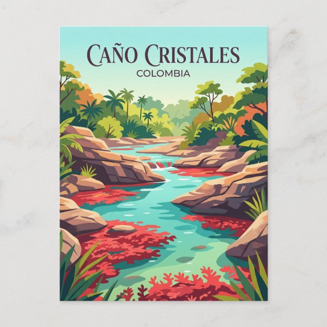 Caño Cristales Colombia Postcard (Front)