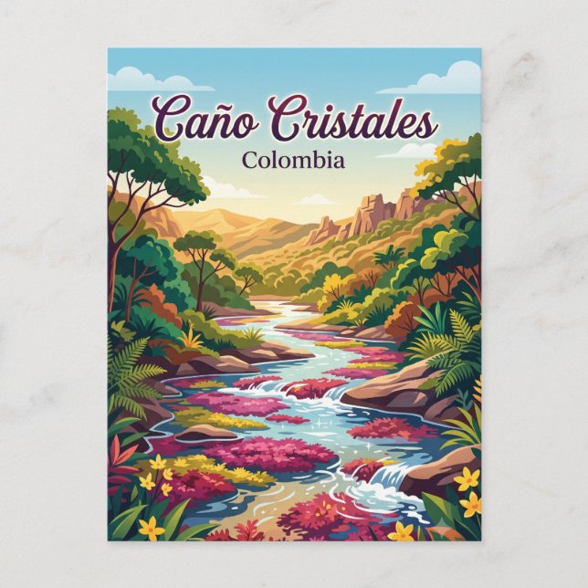 Caño Cristales Colombia Postcard (Front)