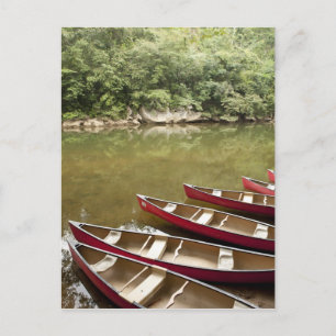 Canoeing the Macal River, Belise Postcard