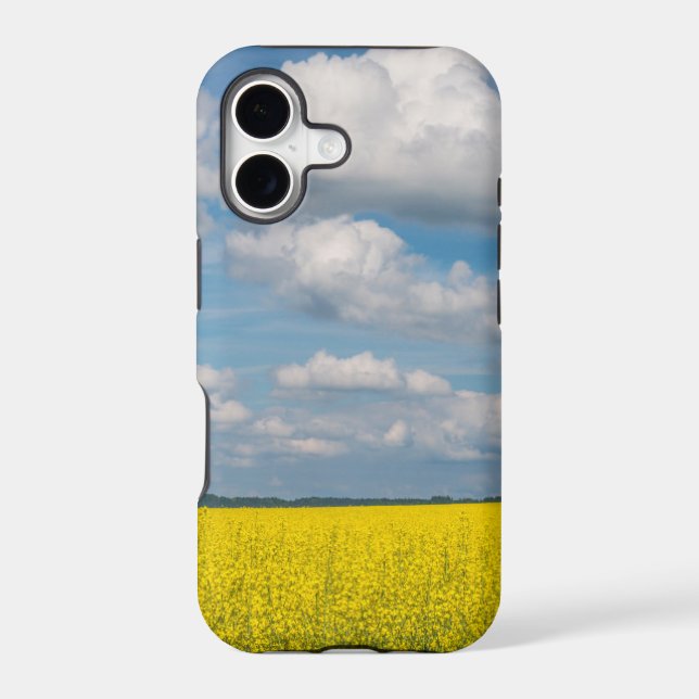 Canola Field & Clouds (Back)