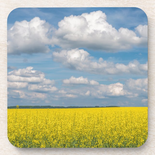 Canola Field & Clouds Coaster (Front)