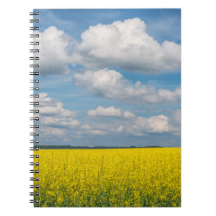 Canola Field & Clouds Notebook