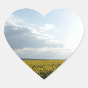Canola Field Heart Sticker