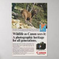 Canon camera 1980s advertisement retro antique