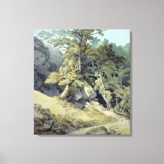 Canonteign, Devon Canvas Print (Front)