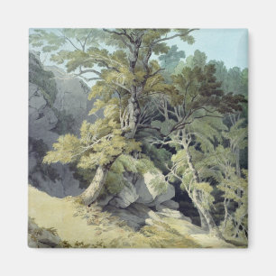 Canonteign, Devon Magnet