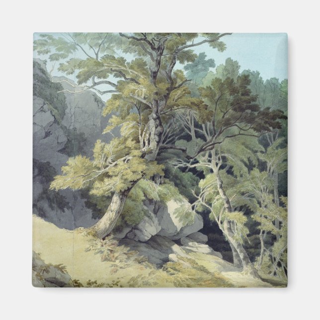 Canonteign, Devon Magnet (Front)