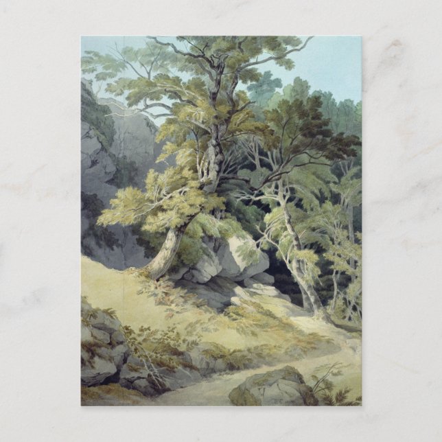 Canonteign, Devon Postcard (Front)