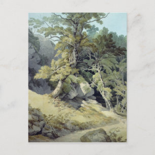 Canonteign, Devon Postcard