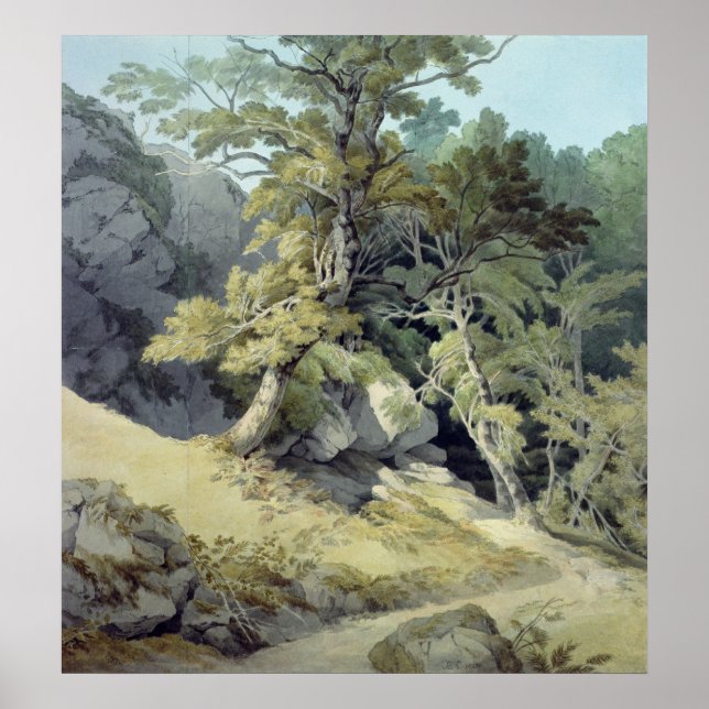 Canonteign, Devon Poster (Front)