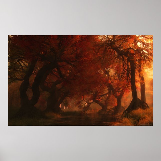 Canopy Creek (Autumn) Poster (Front)