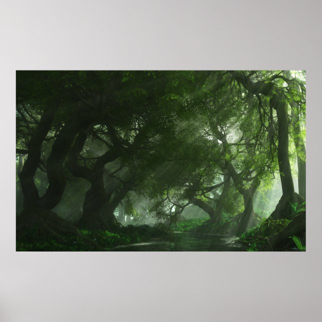 Canopy Creek Poster (Front)