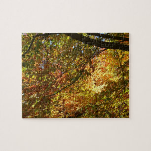 Canopy of Fall Leaves I Yellow Autumn Nature Jigsaw Puzzle