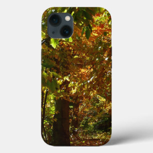 Canopy of Fall Leaves II Yellow Autumn Photography iPhone 13 Case