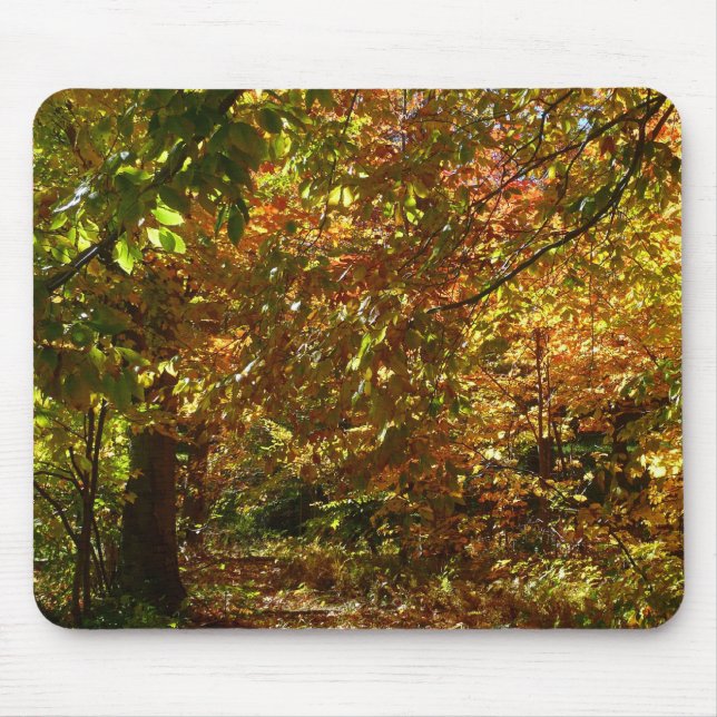Canopy of Fall Leaves II Yellow Autumn Photography Mouse Mat (Front)