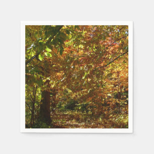 Canopy of Fall Leaves II Yellow Autumn Photography Napkin