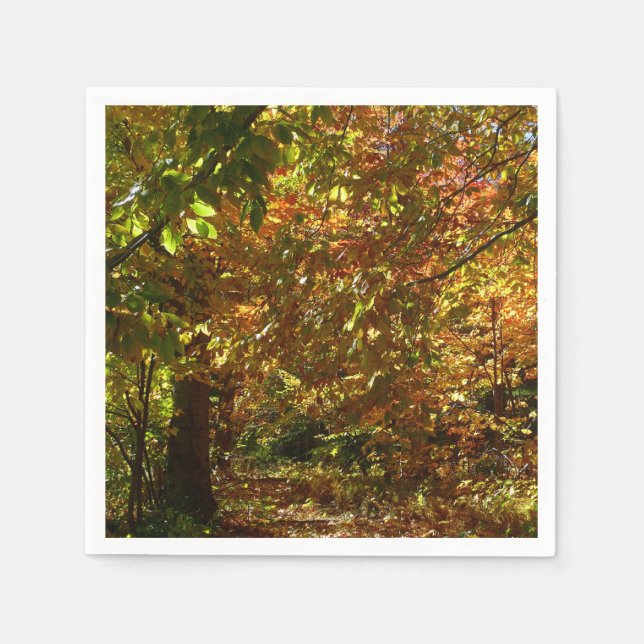 Canopy of Fall Leaves II Yellow Autumn Photography Napkin (Front)