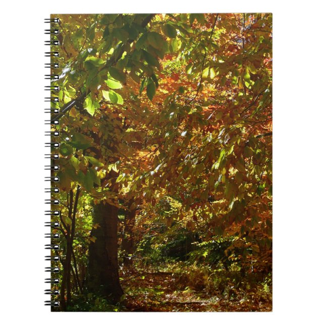 Canopy of Fall Leaves II Yellow Autumn Photography Notebook (Front)