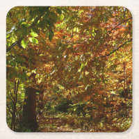 Canopy of Fall Leaves II Yellow Autumn Photography